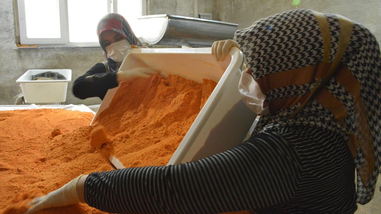 Gediz Tarhanaya Coğrafi İşaret Belgesi