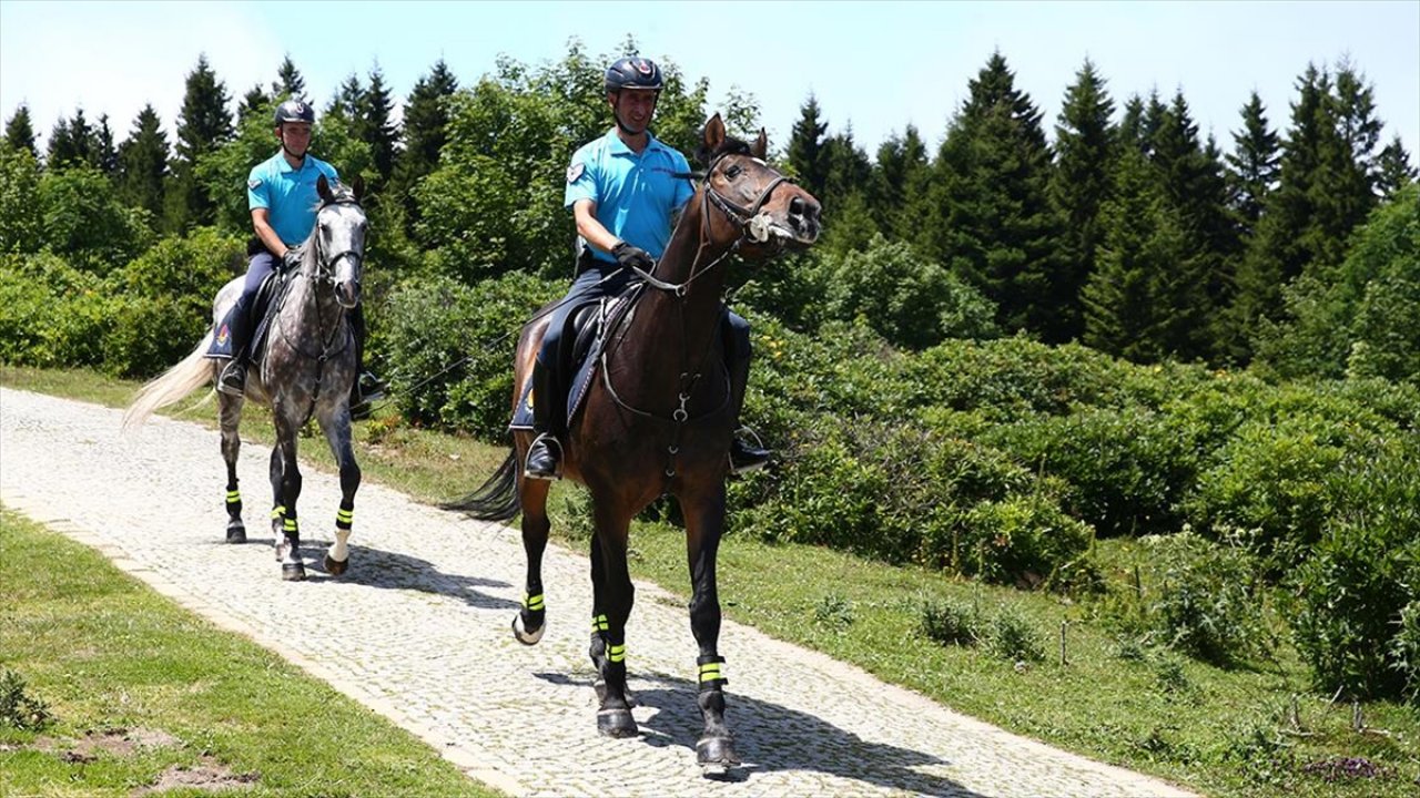 Atlı jandarma timine yayla görevi
