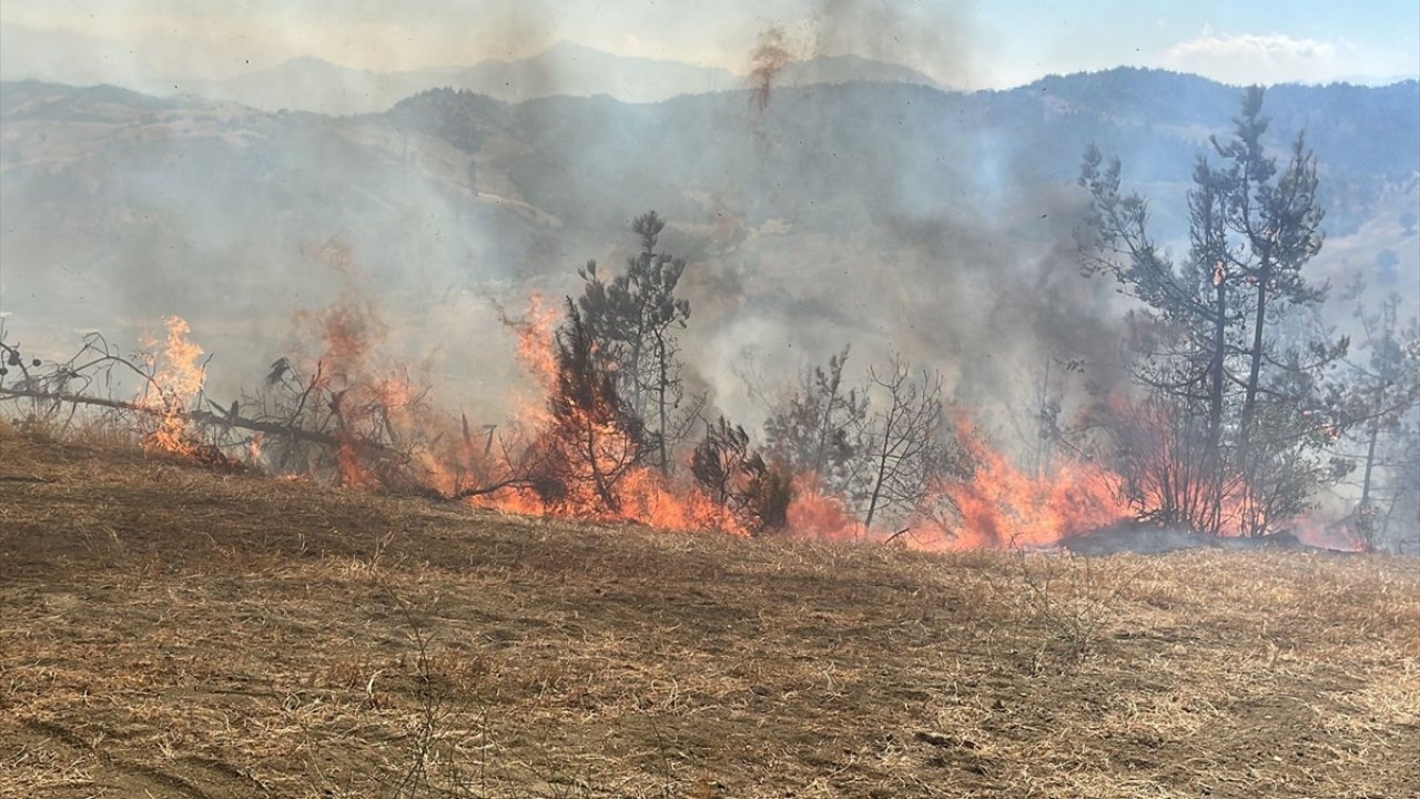 Kahramanmaraş'ta orman yangını!