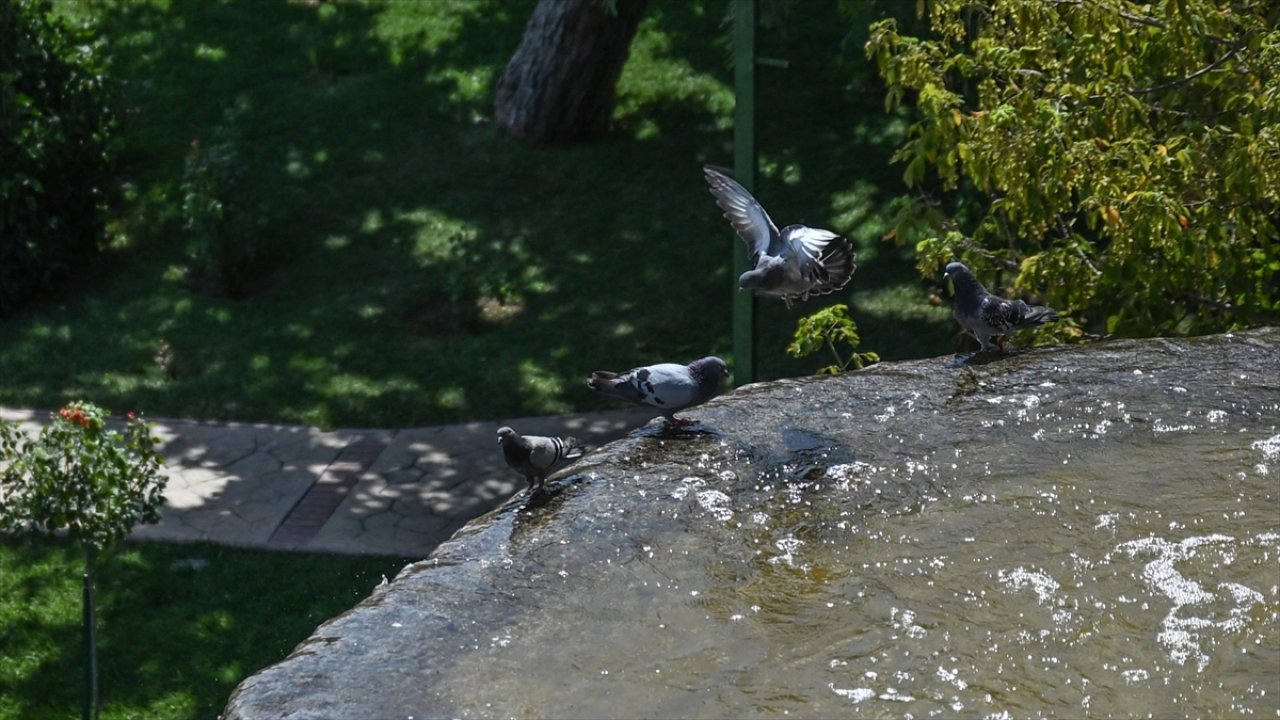 Sıcak hava daha da bunaltacak! 6 ila 10 derece artıyor!