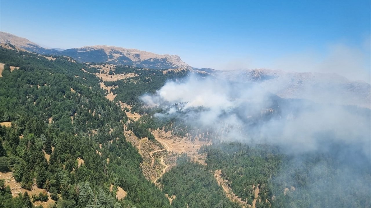 Kahramanmaraş'ta çıkan orman yangınına müdahale ediliyor!