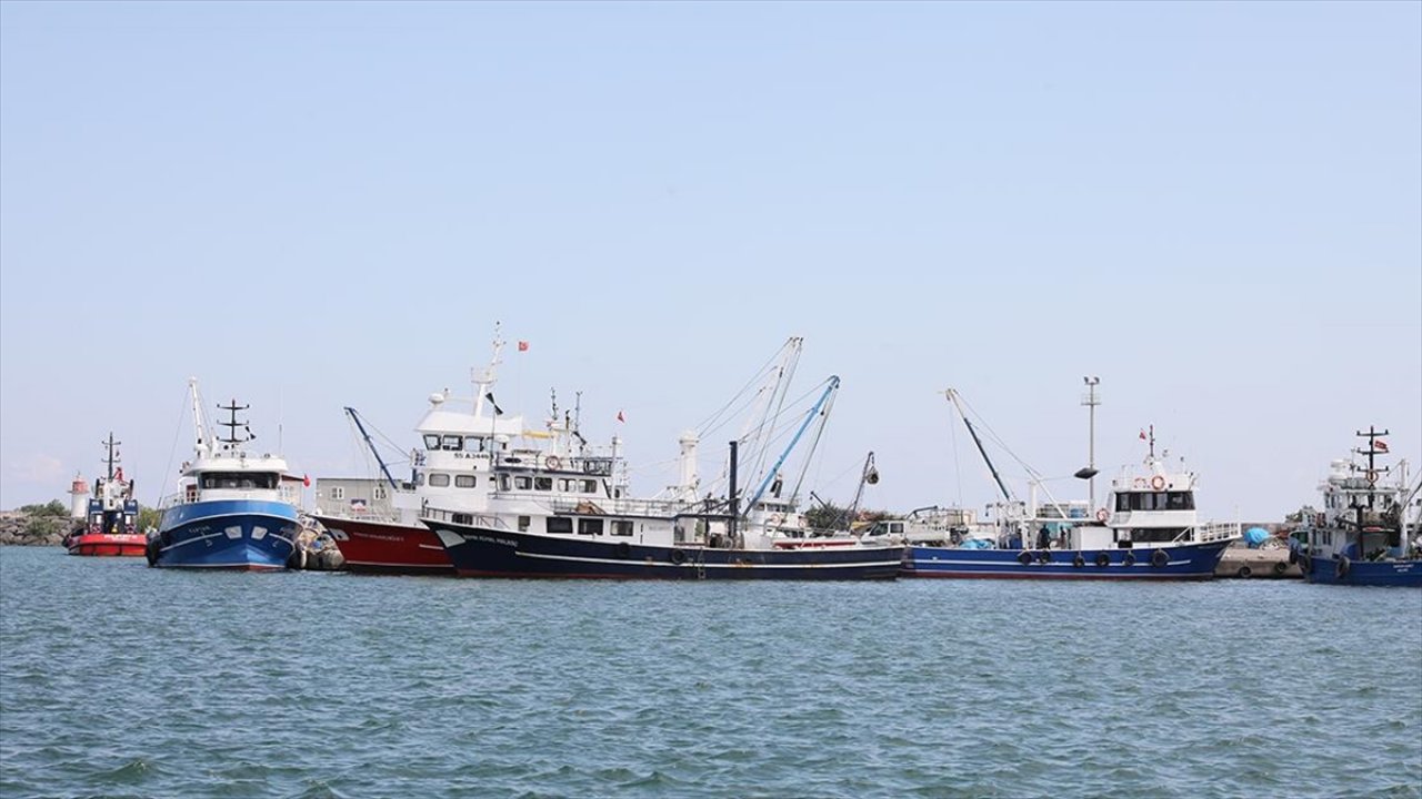 Balıkçılar bereketli bir sezon bekliyor!