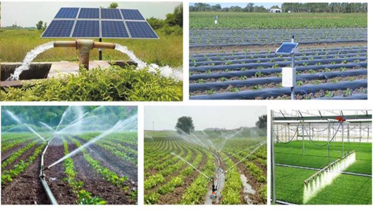 Kahramanmaraş’ta üreticilere hibe desteği için son gün uyarısı!