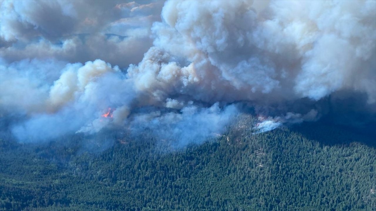 Kanada'da 800'e yakın orman yangını halen devam ediyor