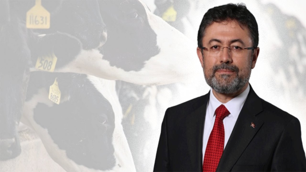 Kahramanmaraş’ta bedava Büyükbaş Hayvan dağıtımı başlayacak! 