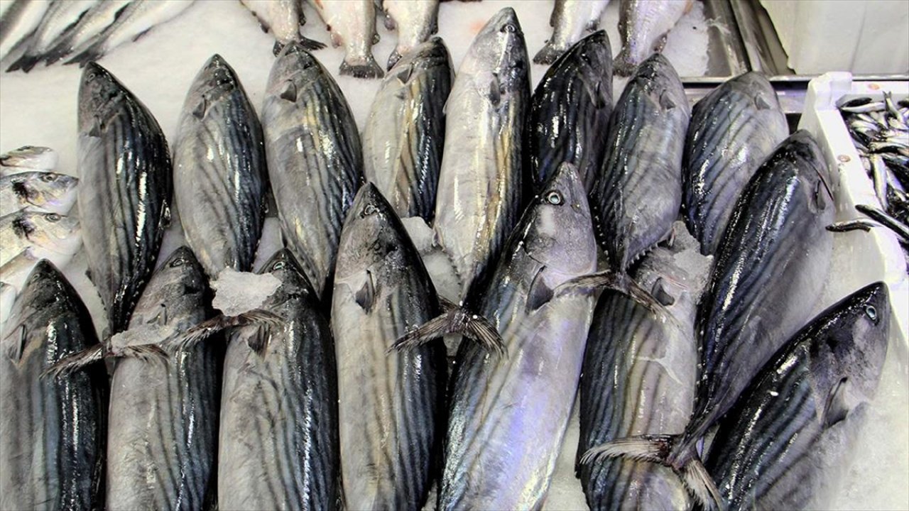 İklim değişikliği balıkları vurdu!