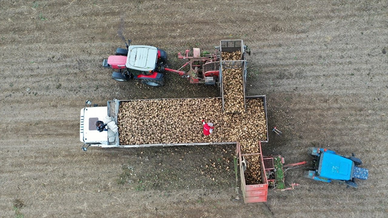 Üreticilere avans ödemeleri bugün yapılacak!