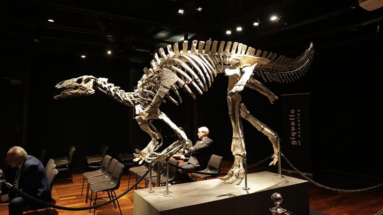 Dinozor iskeleti 930 bin avroya satıldı!