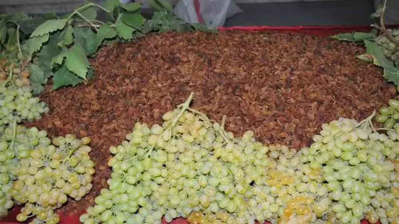 Türkiye kuru Üzüm’de dünya lideri oldu!