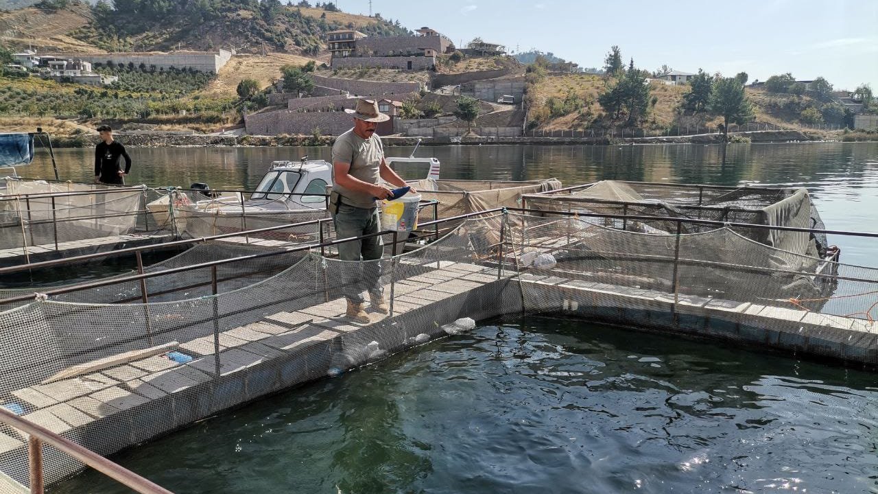 Kahramanmaraş alabalık üretiminde lider!