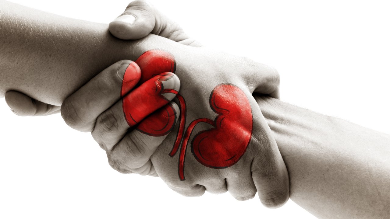 28 bin Kişi Organ Bekliyor! 