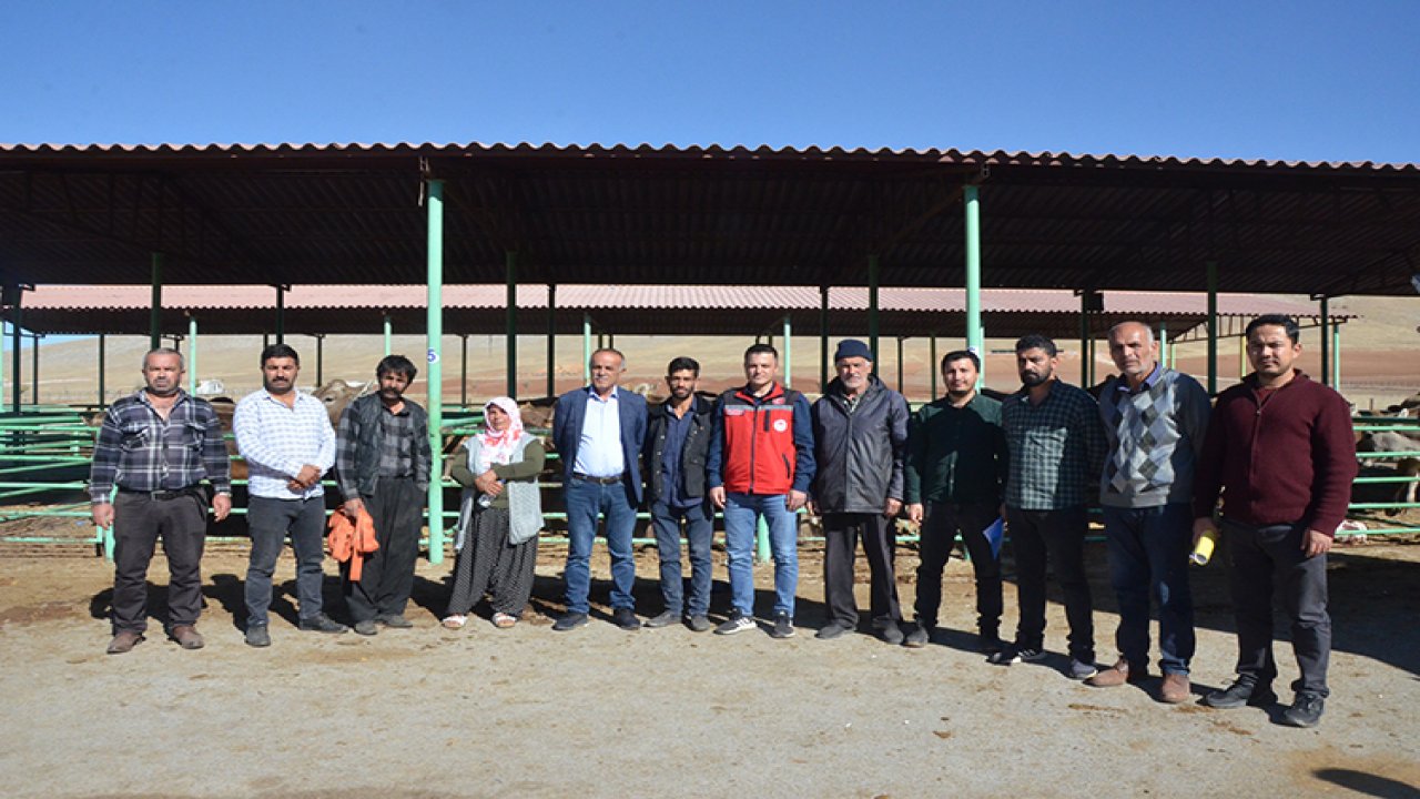 Kahramanmaraş’ta depremzedelere ücretsiz hayvan desteği!