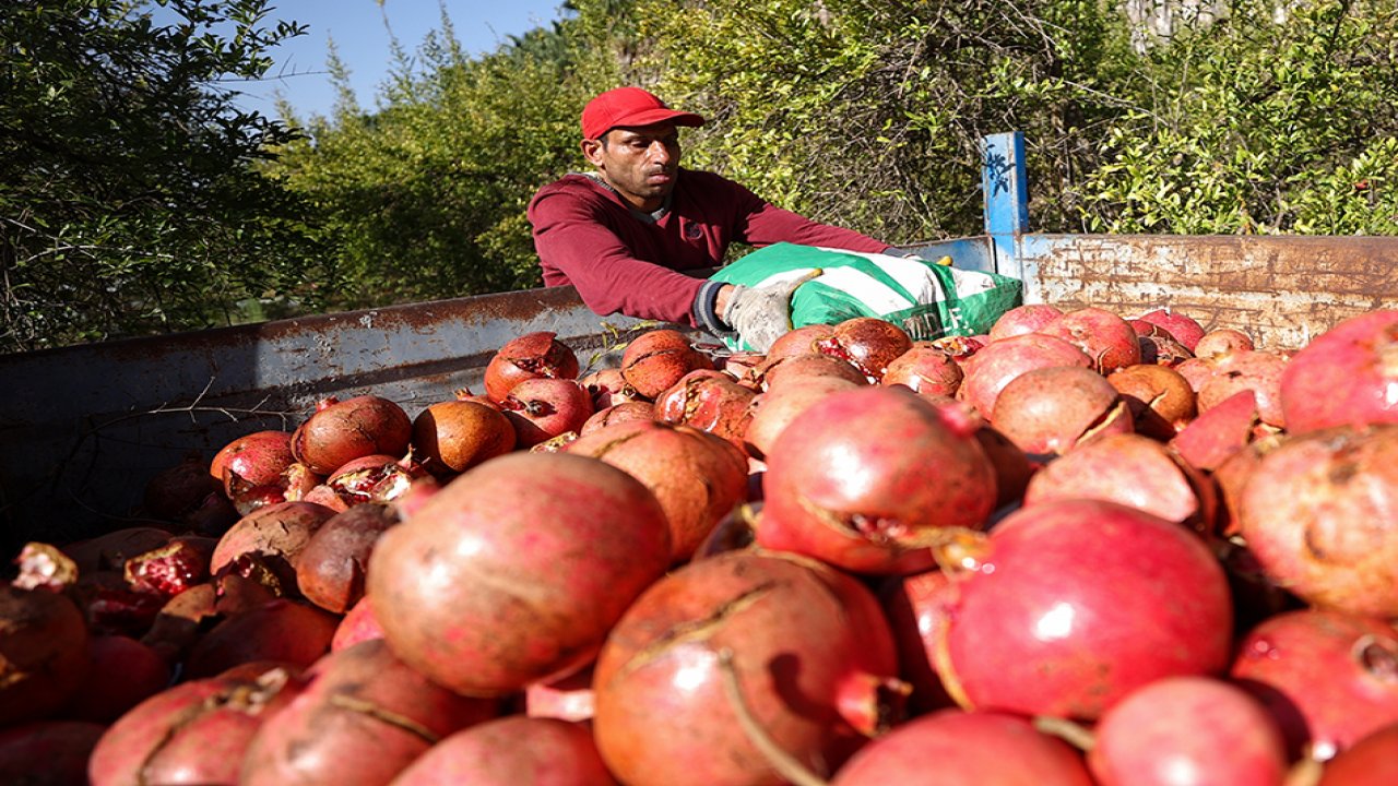 Dünyanın Narı Türkiye’den gidiyor!
