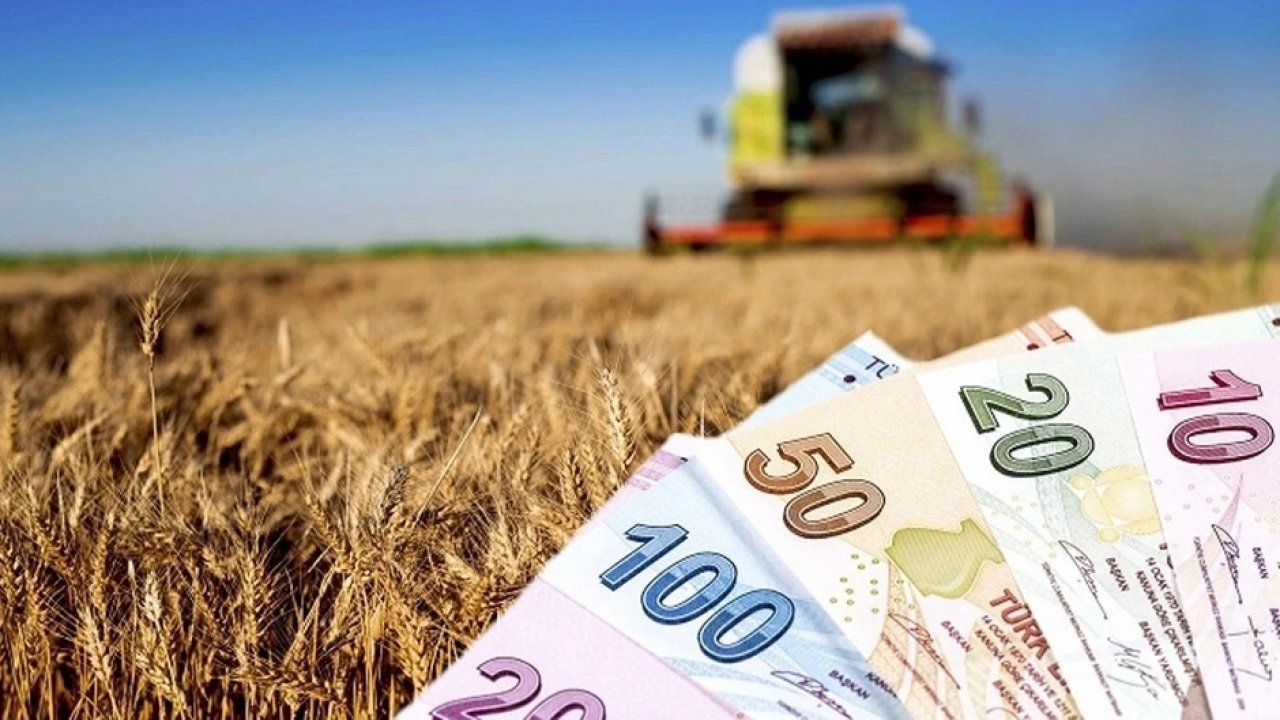 Çiftçilere 169 milyon ödeme bugün başladı!
