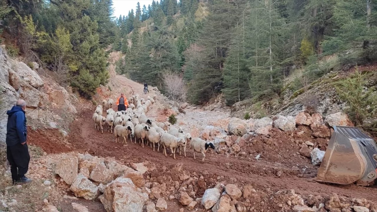 11 çoban ve hayvanları yaylada mahsur kaldı!