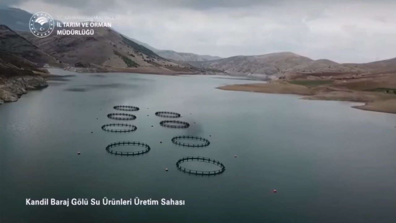 Kahramanmaraş’ta balık üretimi 17 bin tona ulaştı!