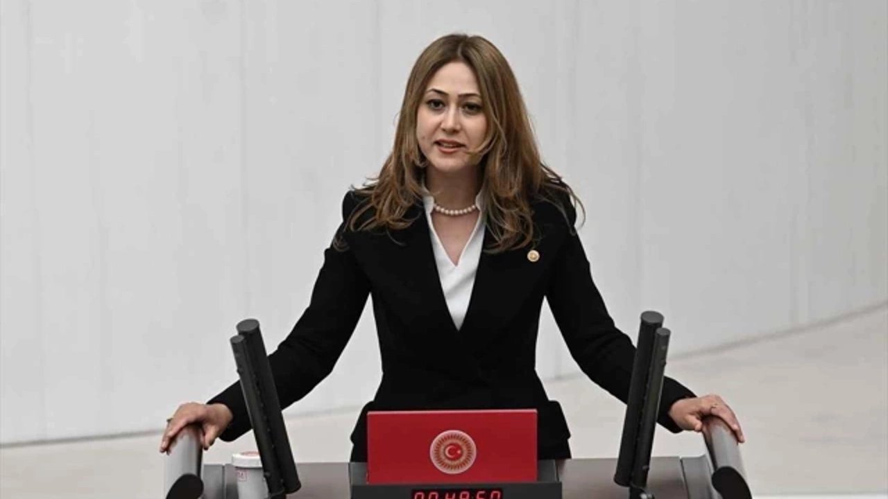 Kahramanmaraş Milletvekili Dora AB'ye sert çıktı!