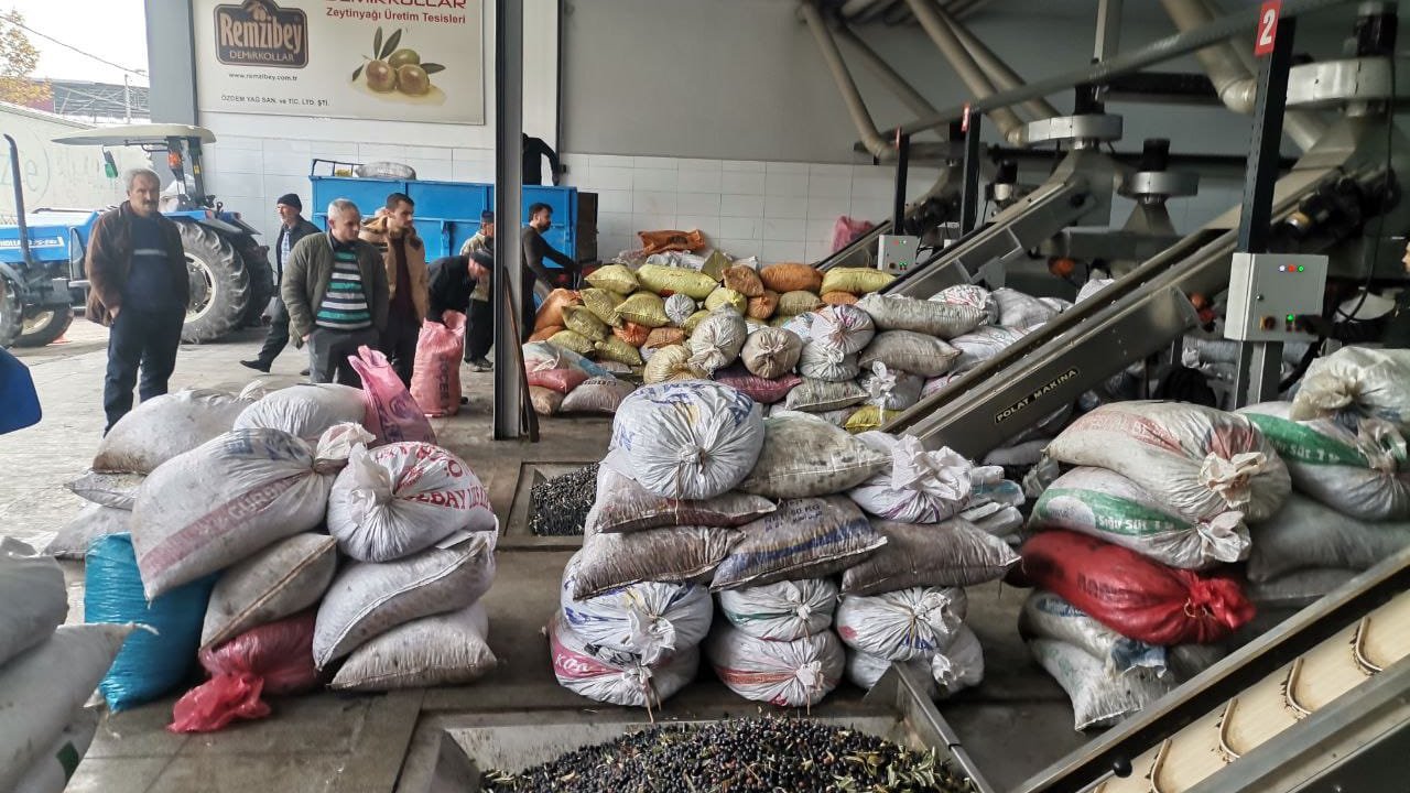 Kahramanmaraş’ta Zeytinyağı 4 bin liradan alıcı buluyor!
