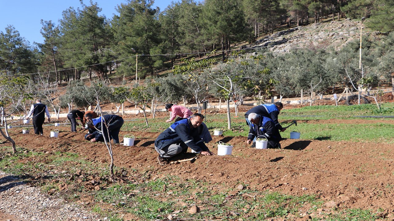 Kahramanmaraş’ta dondurmanın lezzet sırrı toprakla buluştu!