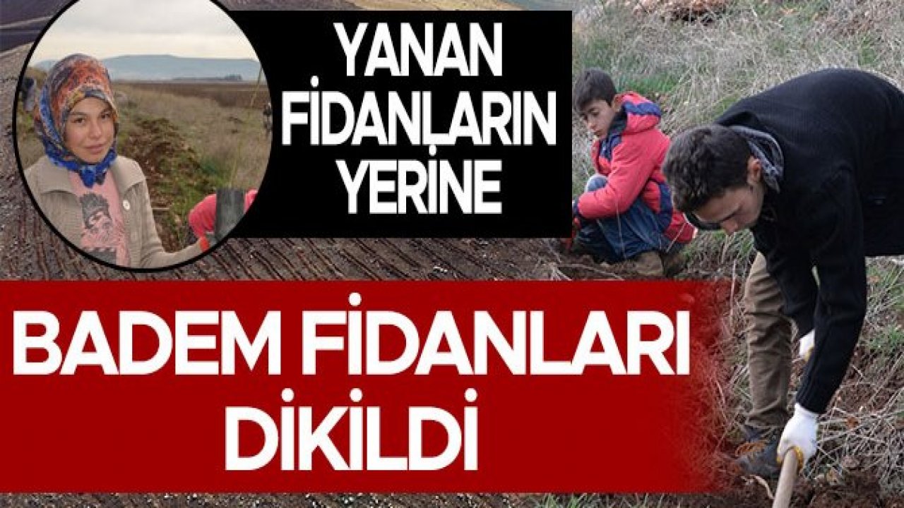 YANAN FİDANLARIN YERİNE BADEM FİDANLARI DİKİLDİ