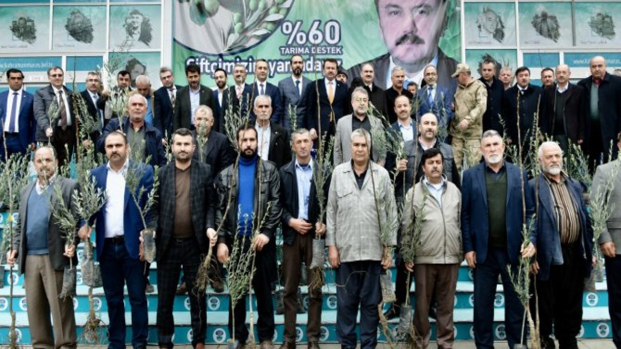 ZEYTİN DALI HAREKÂTINA ZEYTİN FİDANIYLA DESTEK OLDULAR