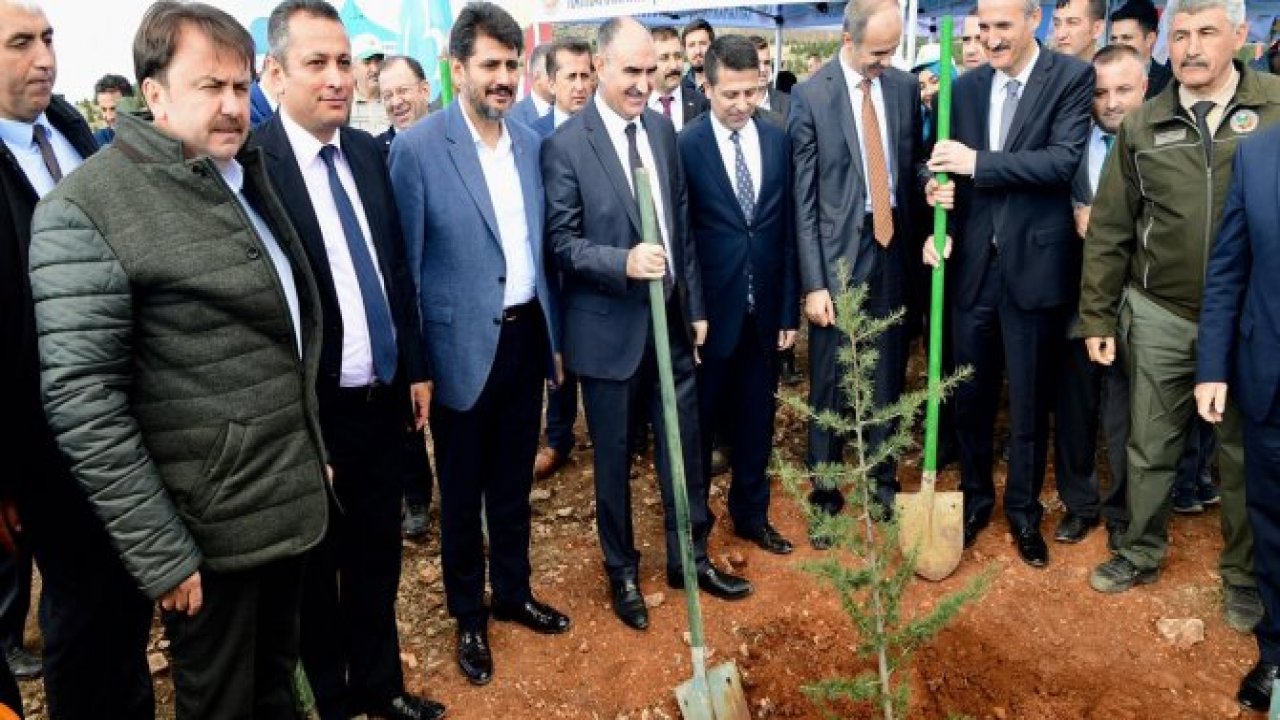 On Binlerce Fidan Toprakla Buluştu