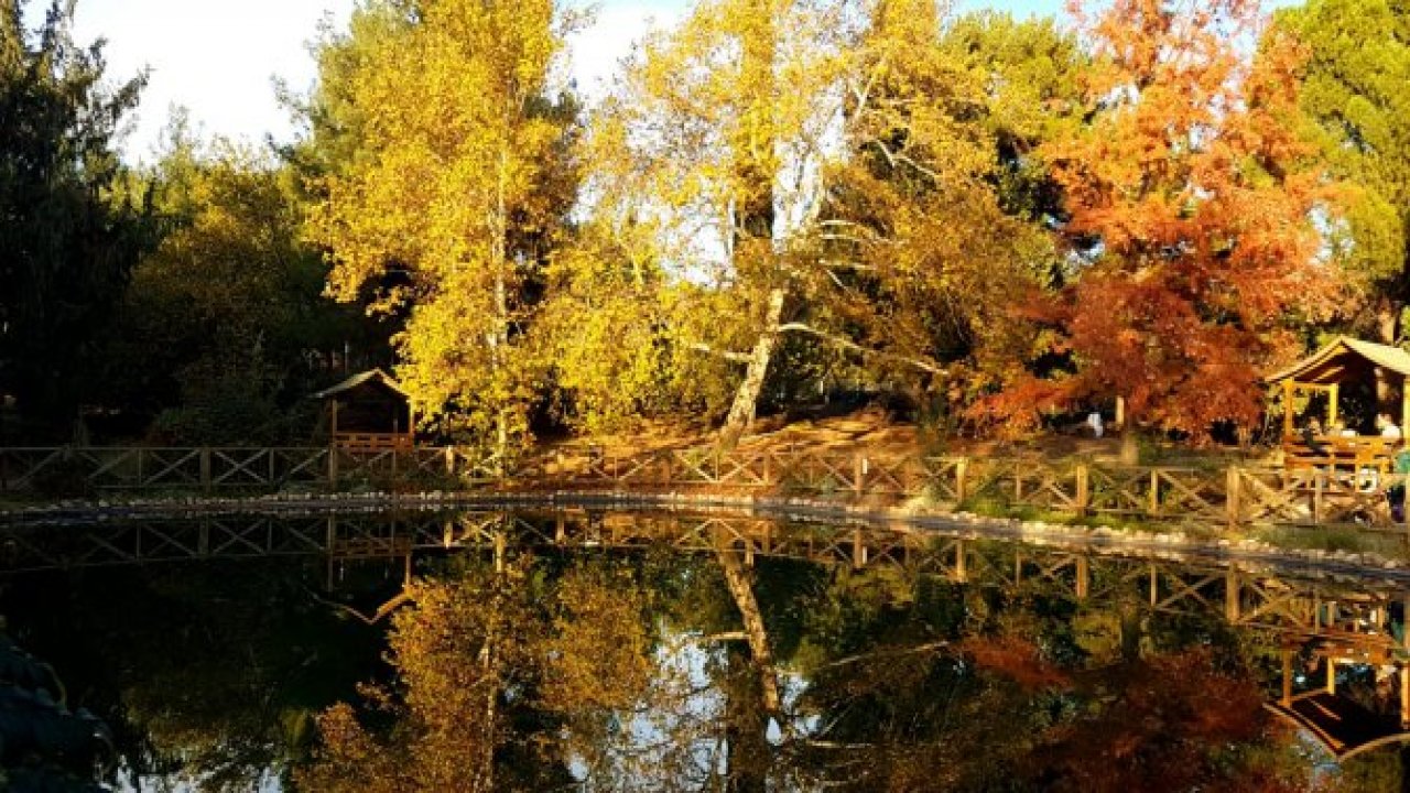 Kahramanmaraş Kapıçam Botanik park görülmeye değer