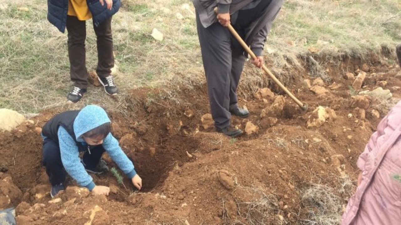 Minikler Senin de Dikili Bir Ağcın Olsun Dediler