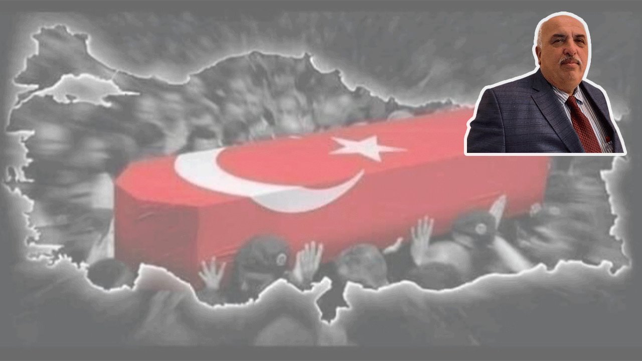 Kuduz Köpek Her Yere Saldırıyor!