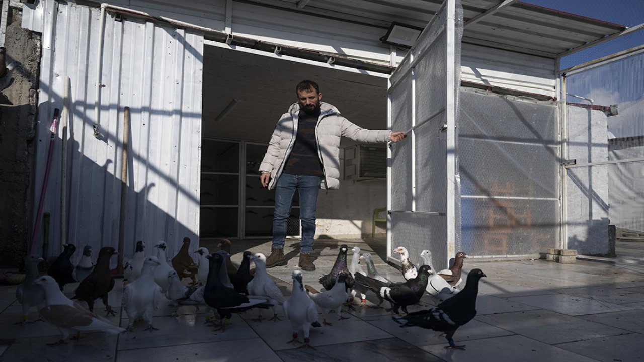 Kahramanmaraş’ın Kuş babası! Depremde güvercin sevgisiyle hayata tutundu!