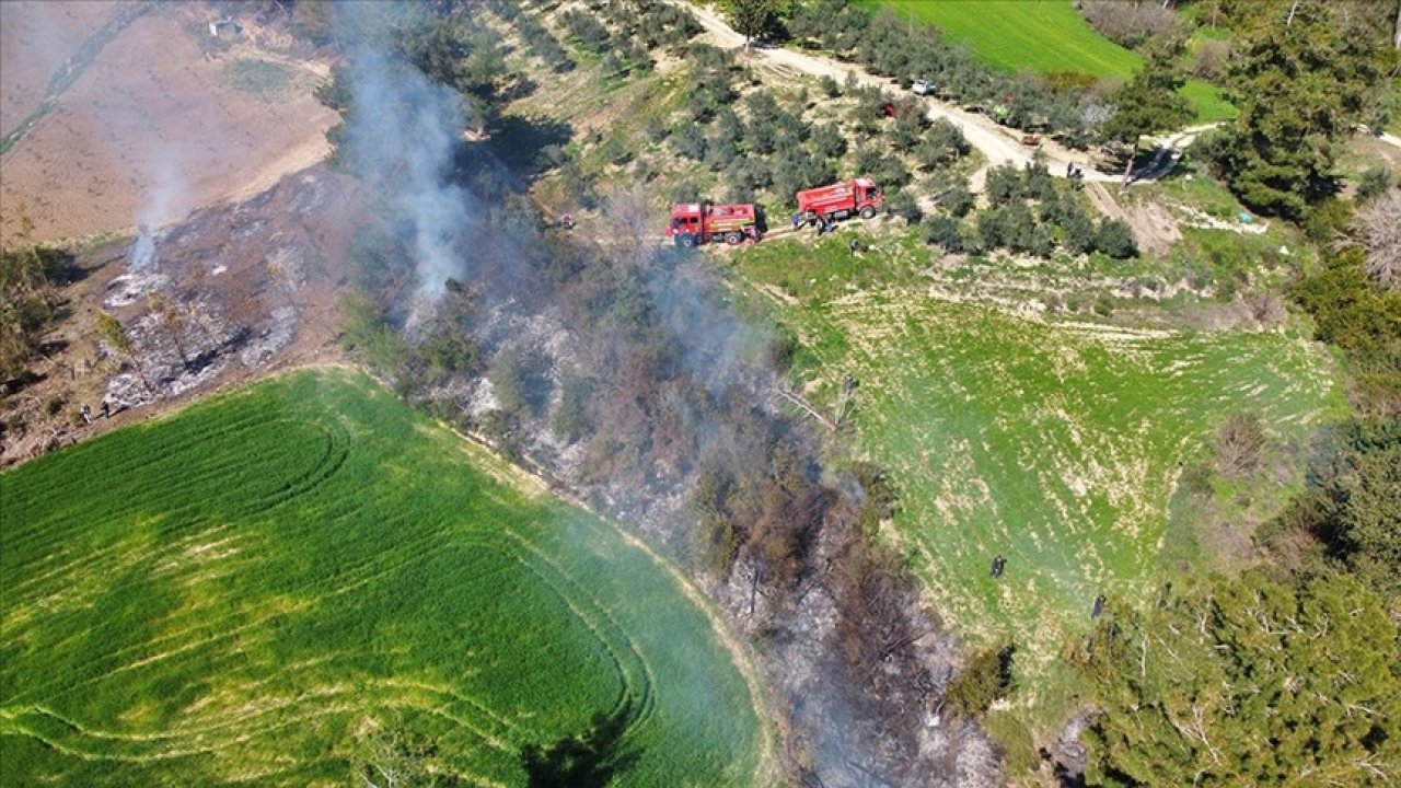 Kahramanmaraş sınır hattında orman yangını! 5 dekarlık alan zarar gördü