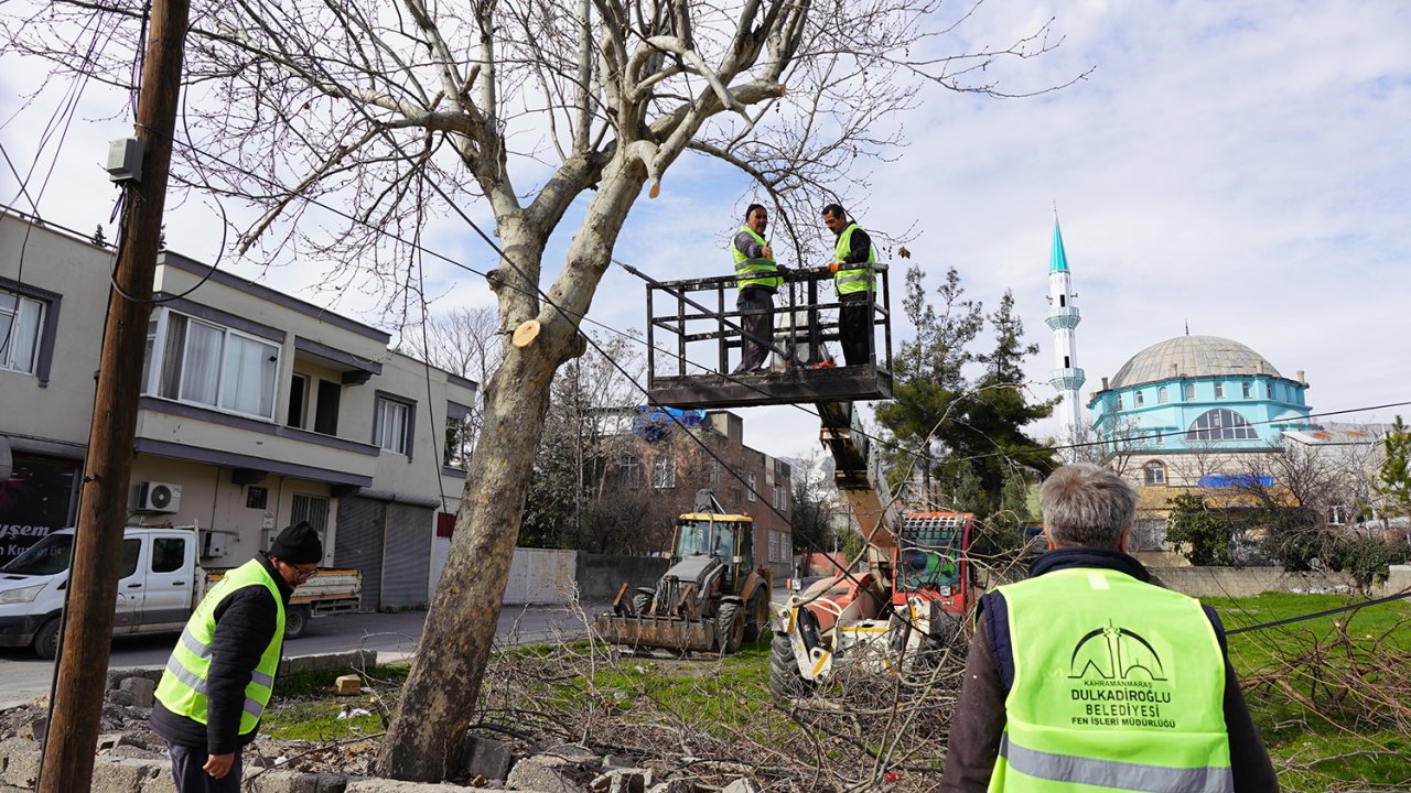 Kahramanmaraş’ta budanan ağaçlar Sosyal Yardıma dönüşüyor!