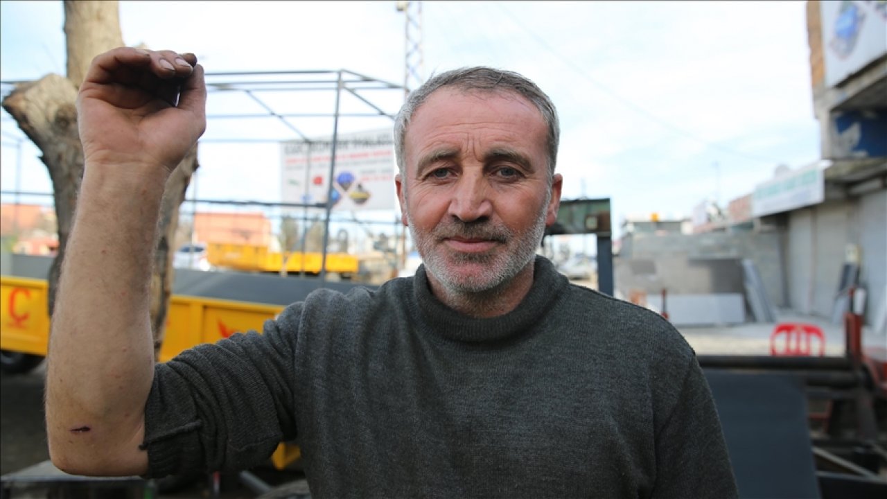 Diyarbakır'da köpekler bir günde 8 kişiyi ısırdı!