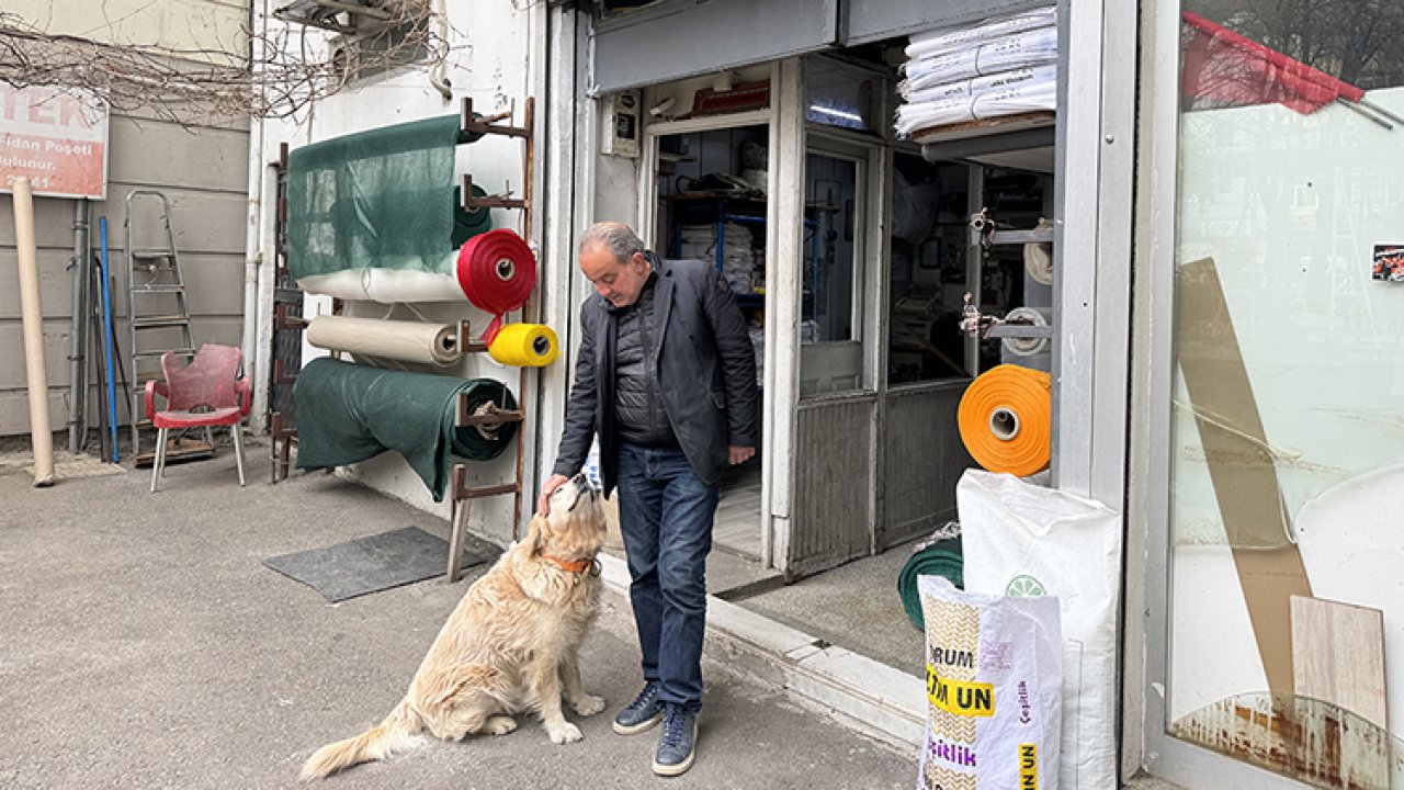 Köpekten kaçarken diz kapağını kıran kadın 315 bin lira tazminat kazandı!