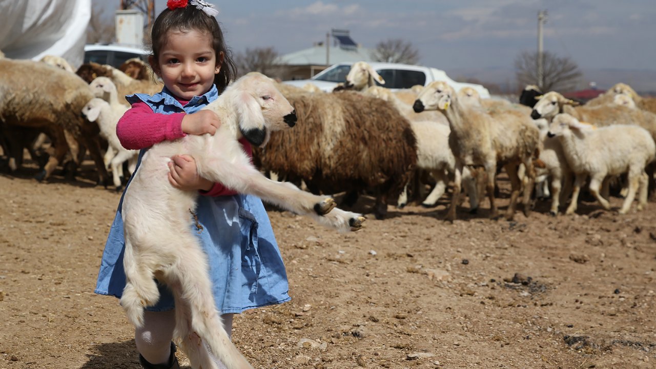 Kahramanmaraş’ta depremzedelere bedava dağıtılmıştı! İlk meyvelerini verdiler!
