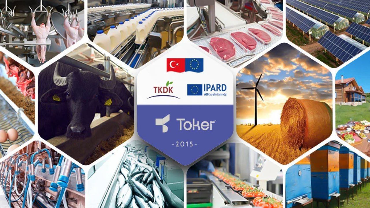 TKDK Kahramanmaraşlı yatırımcılar için çağrı yaptı! 66  Milyon  Avro bütçe ayrıldı!