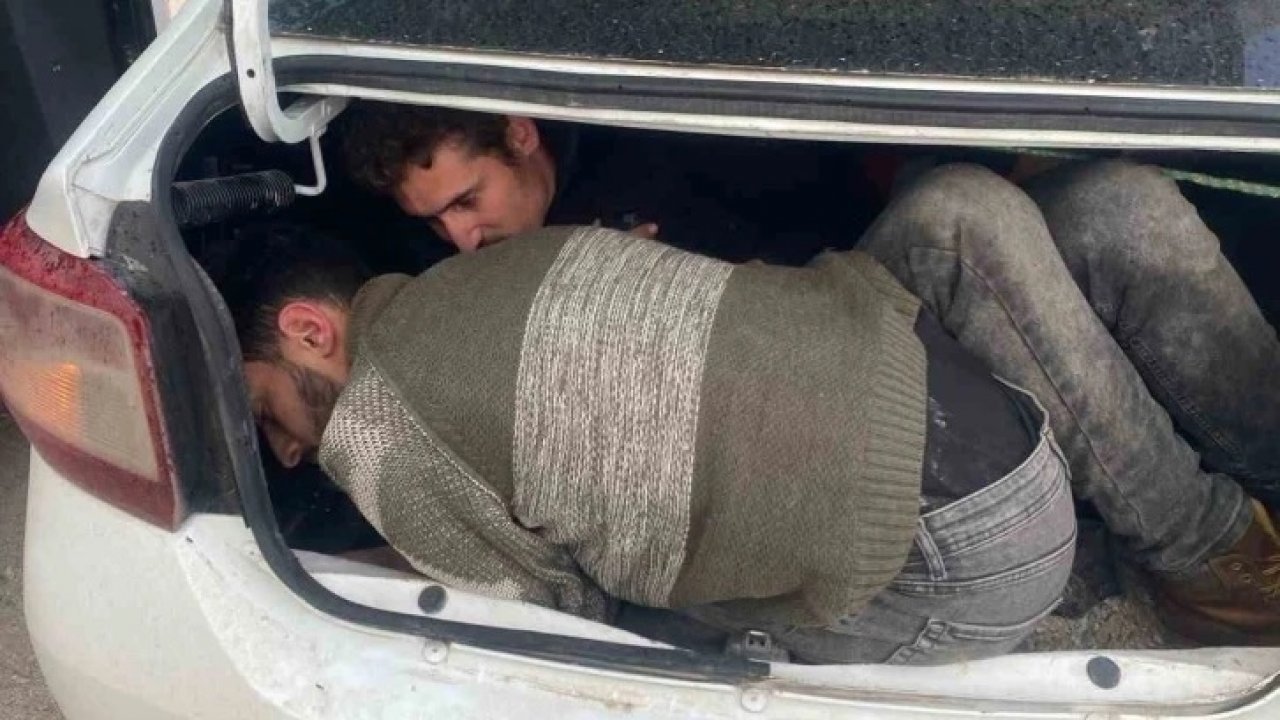 Her taşın altından onlar çıkıyor!