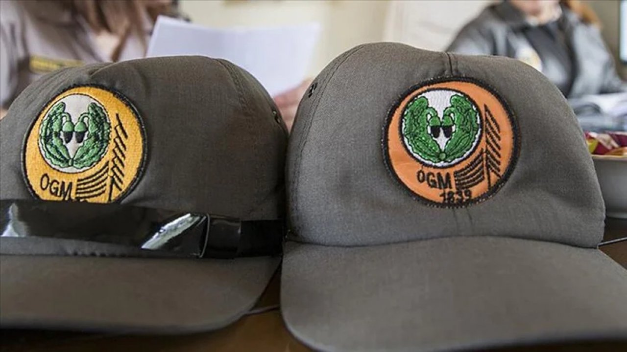 Orman Genel Müdürlüğü, 68 daimi işçi alacak!