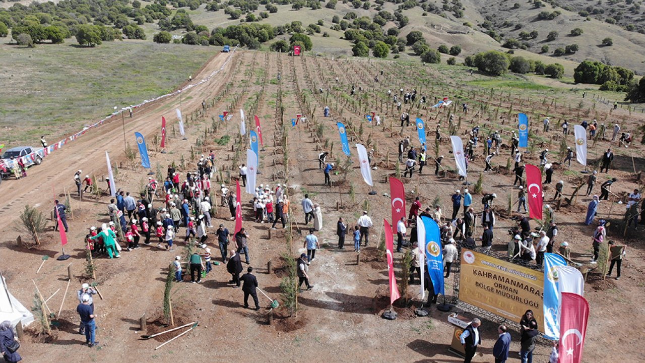Kahramanmaraş’ta fidanlar şehitler için toprakla buluştu!
