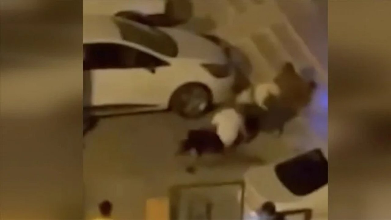 Pitbull dehşeti! 3 kişi yaralandı