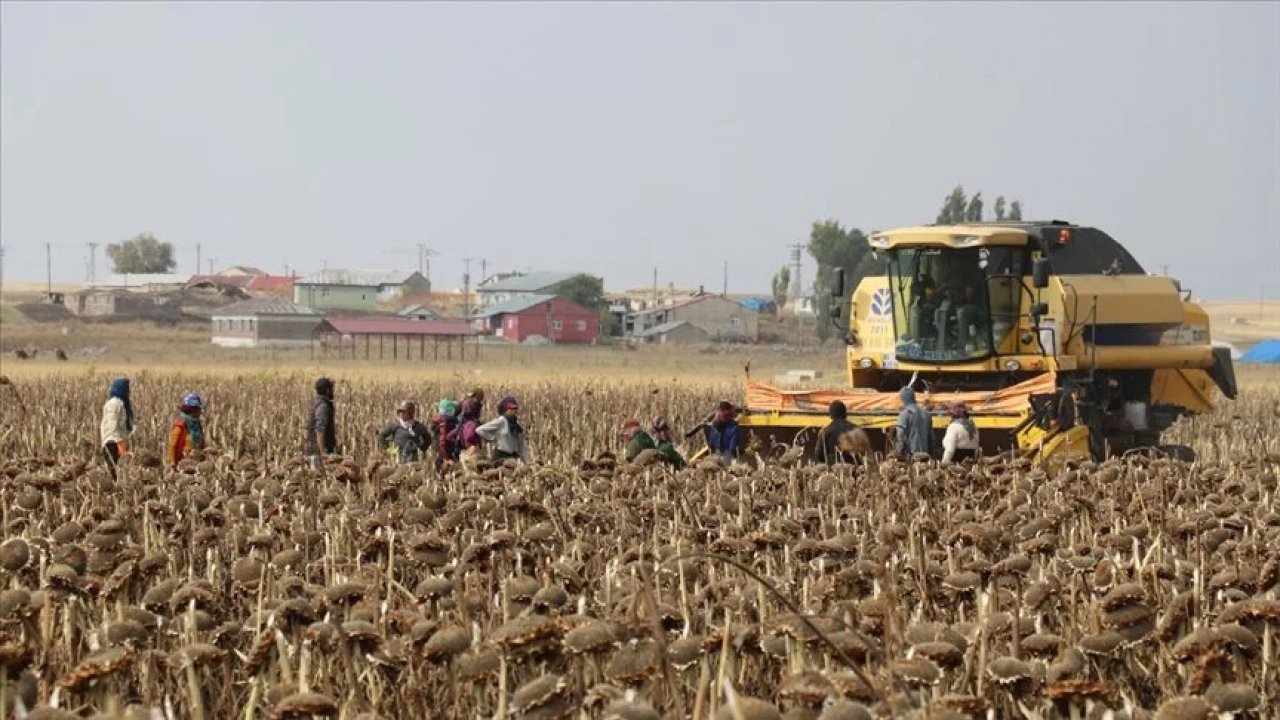 Mevsimlik tarım işçileri için yeni genelge!