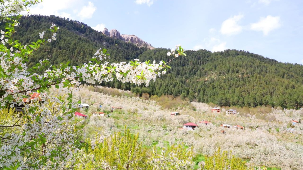 Kahramanmaraş’ta beklenmedik doğa olayı! Hıdırellez’de Kar Yağdı!