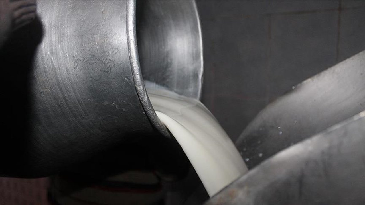 Çiğ süt üreticisine 5 yılda 15 milyar liralık destek sağlandı!