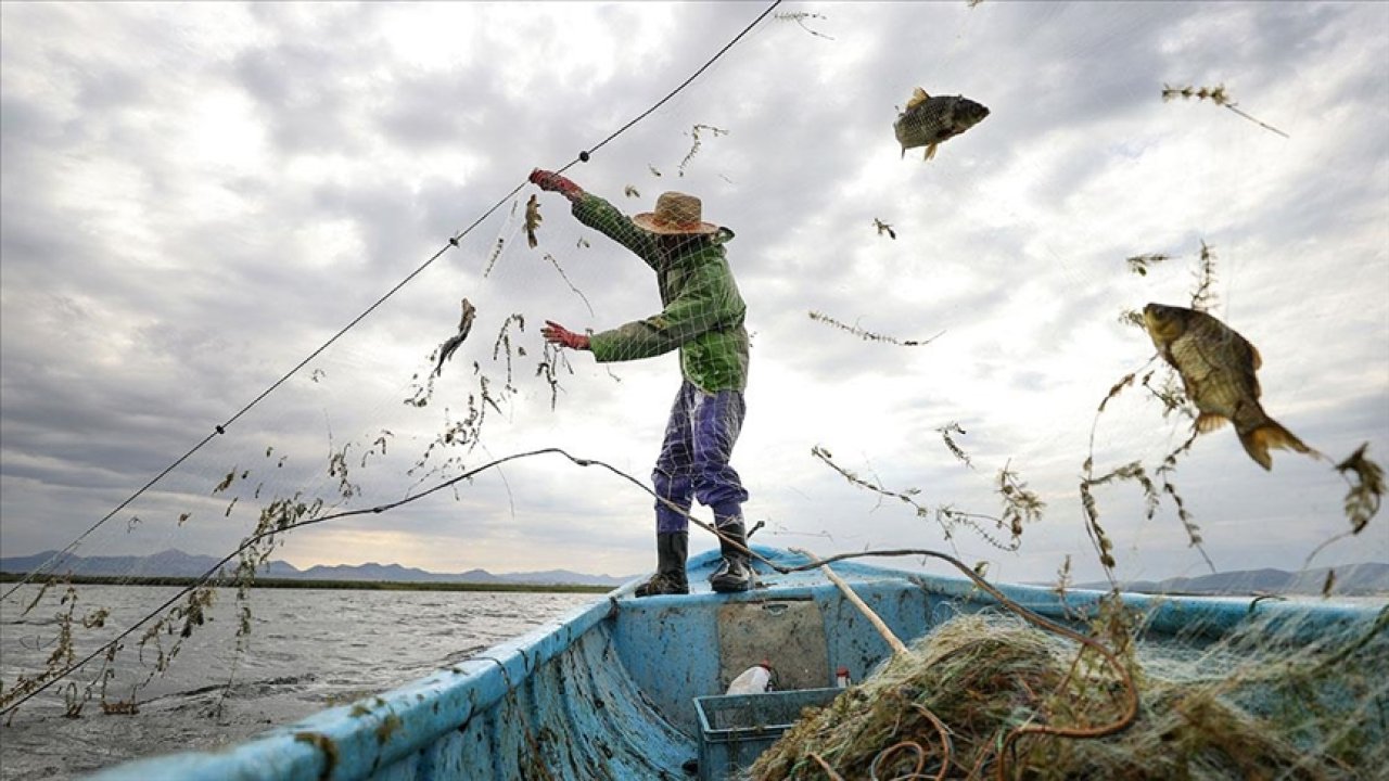 Su ürünlerinde Cumhuriyet rekoru kırıldı!