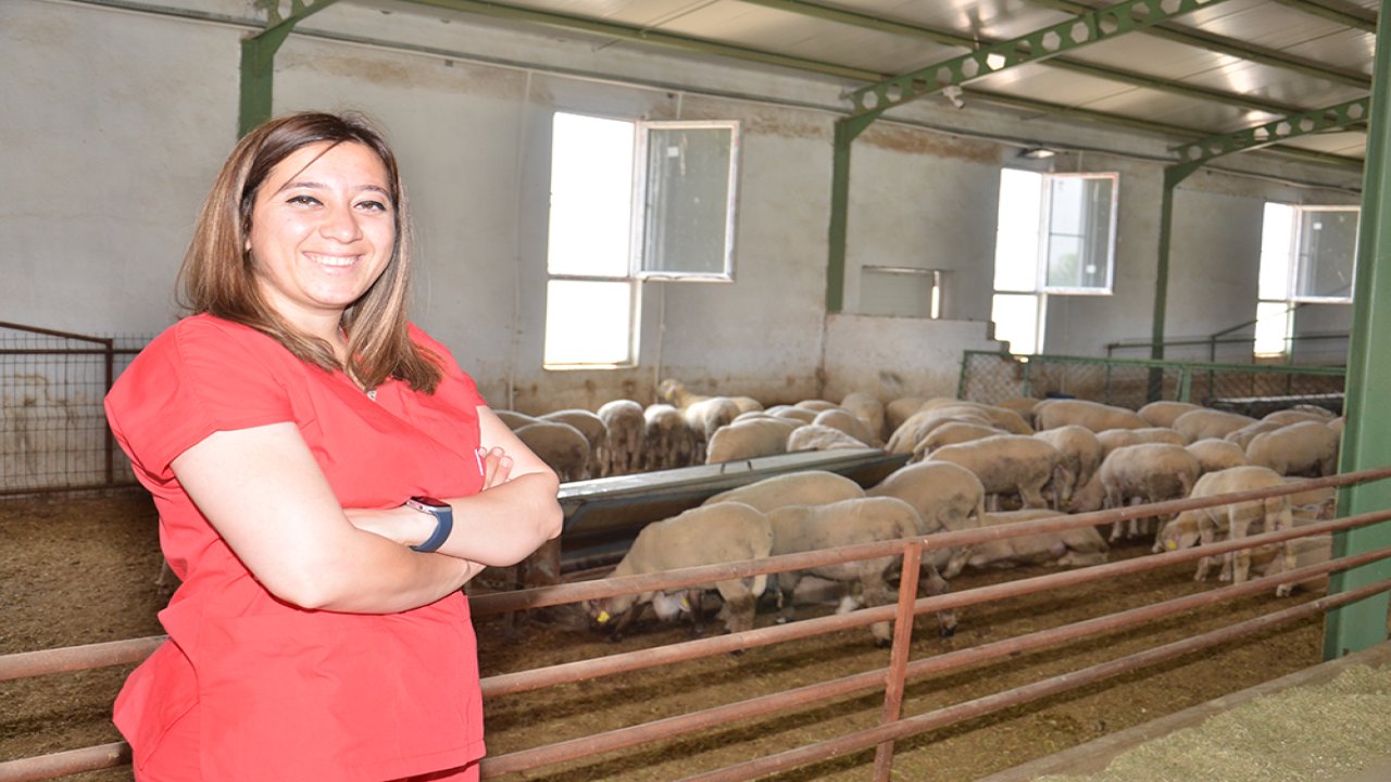 Kahramanmaraşlı kadının üretim zaferi! 400’dü 1000'e çıkarttı!