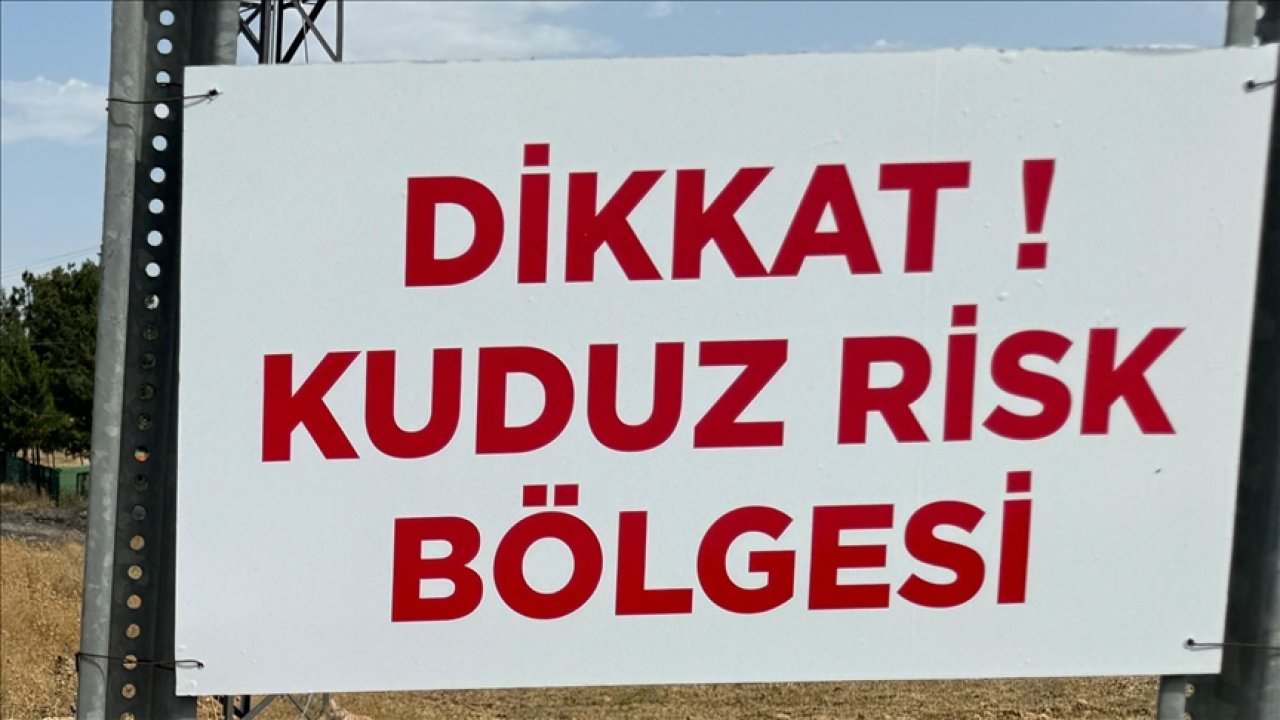 Bir ilde kuduz alarmı! Mahallede karantina başlatıldı!