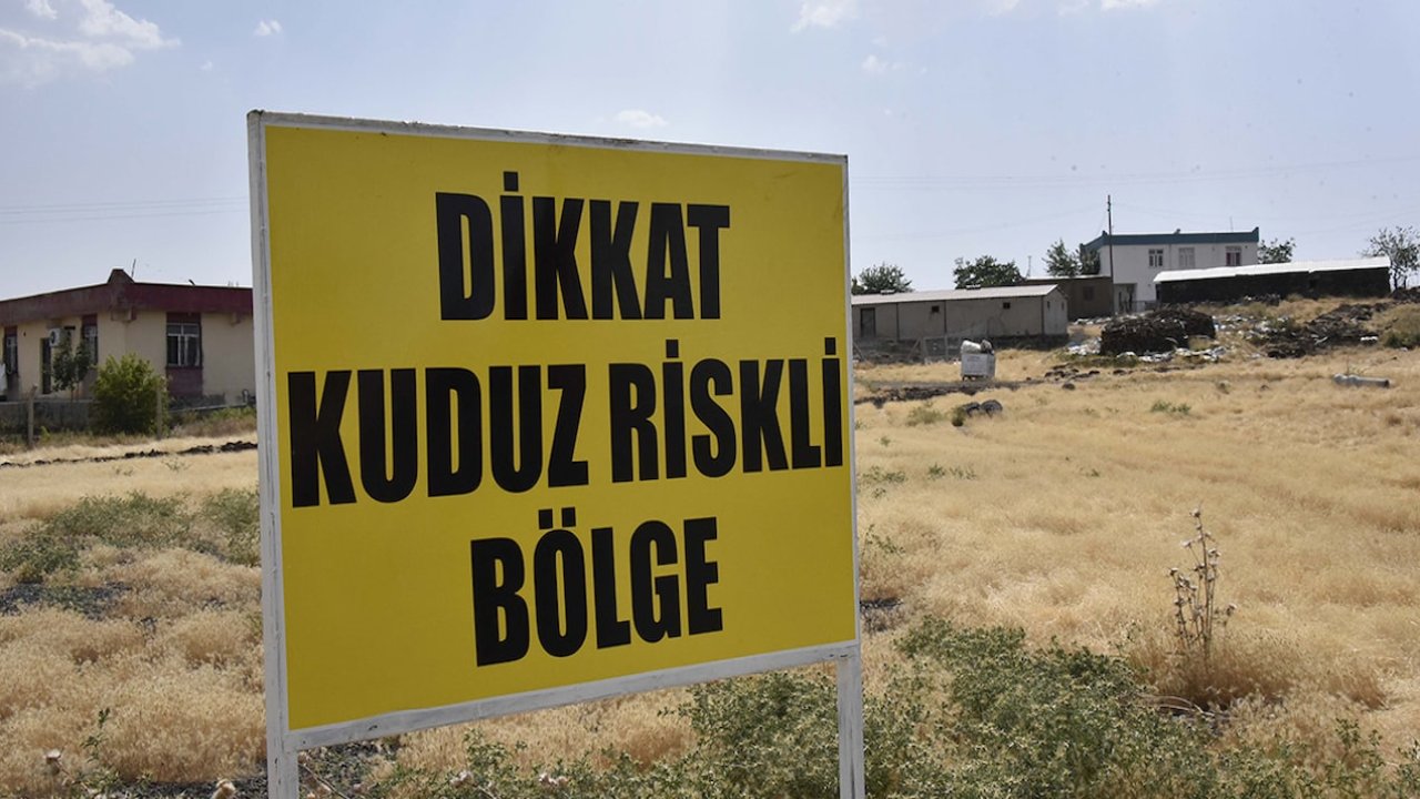 Şanlıurfa'da kuduz karantinası!