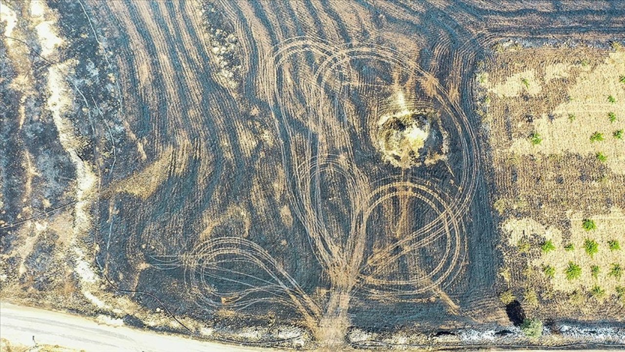 Diyarbakır ve Mardin yangında hayatını kaybedenlerin sayısı 12'e yükseldi!