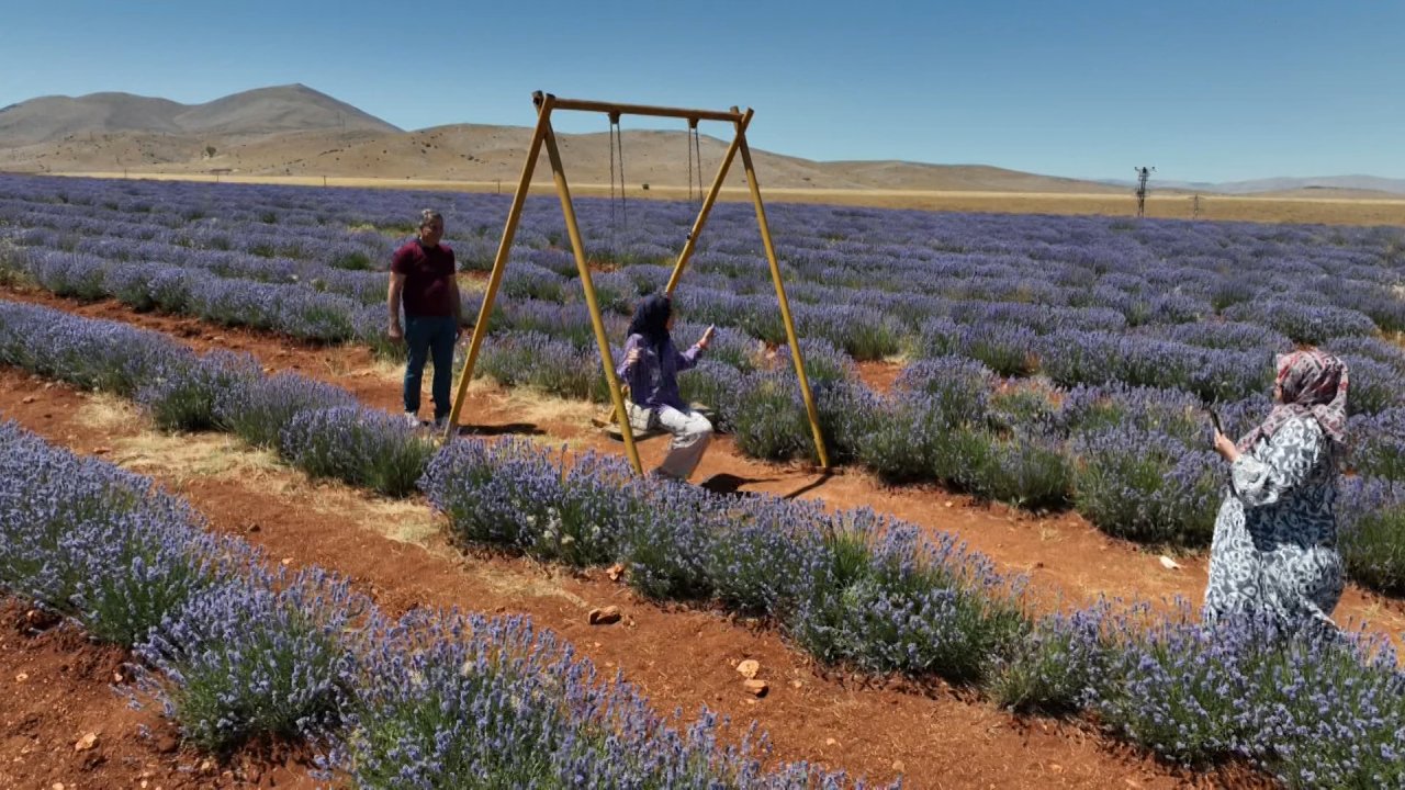 Kahramanmaraş 400 dekarlık lavanta bahçesiyle turizme kapı aralıyor!