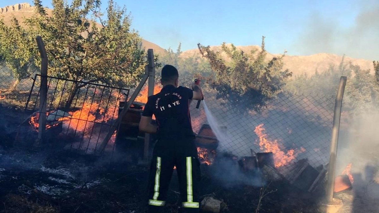 Kahramanmaraş’ta yangında arılar yandı!